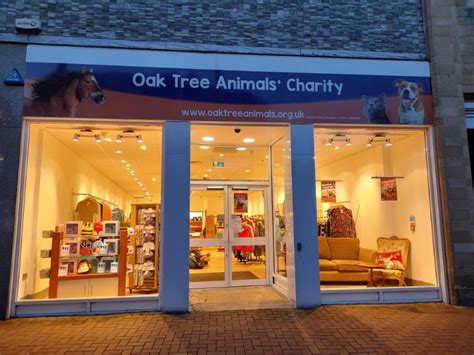 oak tree animals' charity carlisle|Oak Tree Animals' Charity Shop .